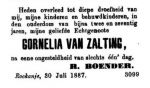 11-15 -04-08-1887 Cornelia van Salting.jpg